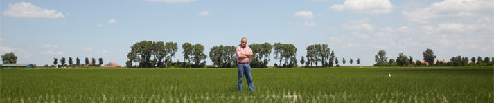 OVER HET BEDRIJF visual data 2